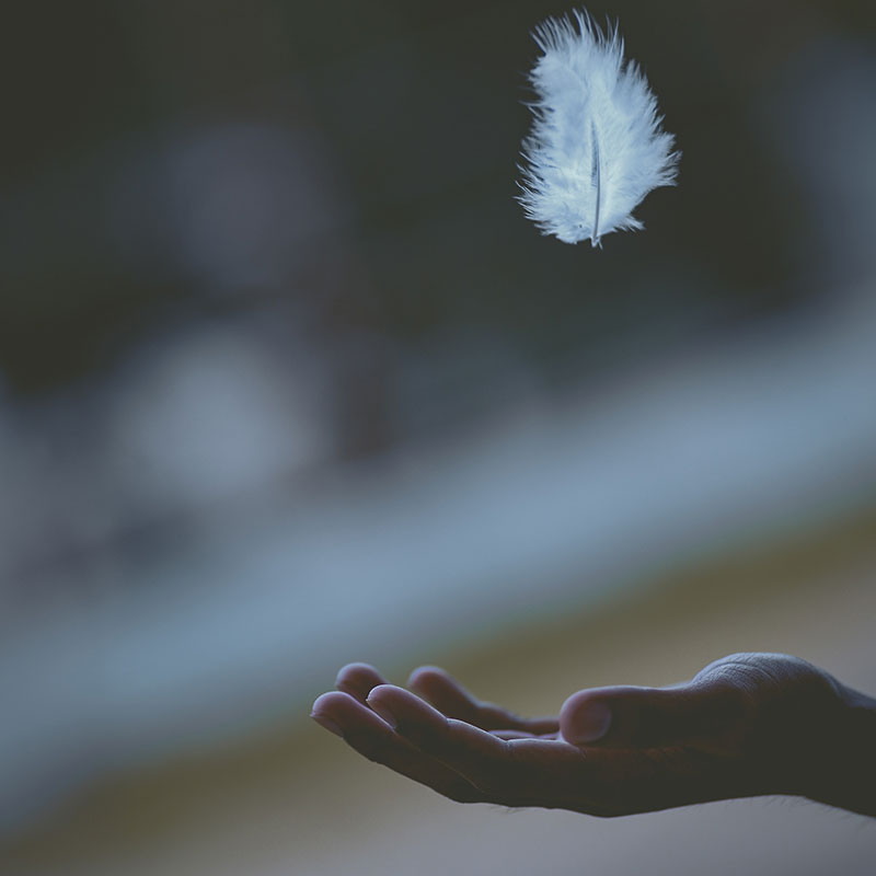 Floating Feather in Hand